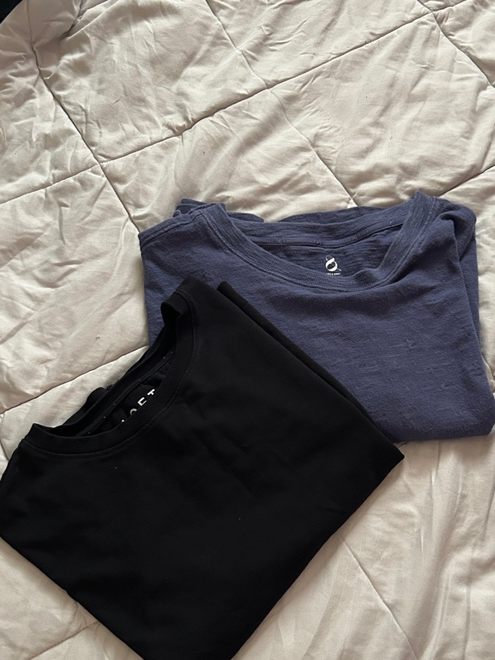 women’s boxy cropped tee